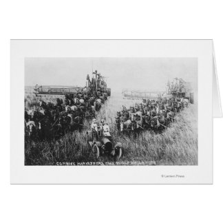 Combine Harvester Scene