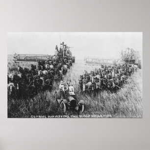 Combine Harvester Scene Poster