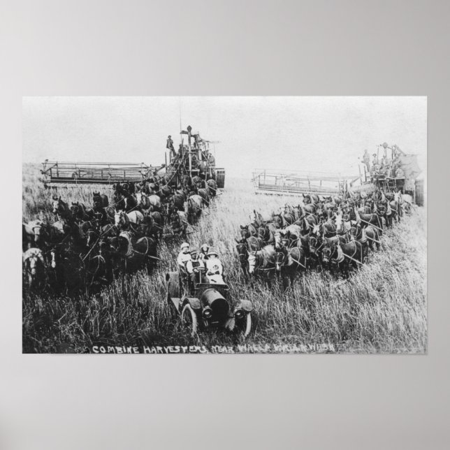 Combine Harvester Scene Poster (Front)