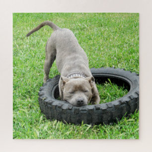 Come And Play Staffy, Jigsaw Puzzle