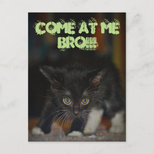 Come at me Bro! Postcard
