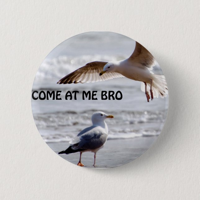 Come at me bro! Seagull Version 2 Inch Round Button (Front)