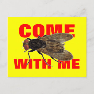 Come Fly With Me Postcard