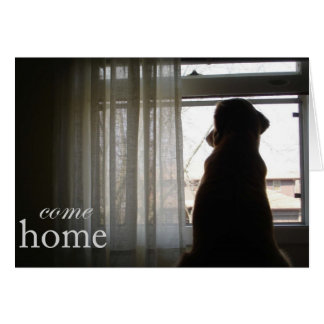 Come Home