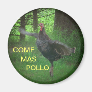 Come Mas Pollo Funny Turkey Magnet