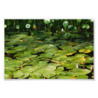 Come Out Wherever You Are