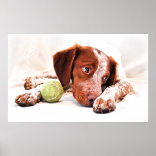 Come play with me poster