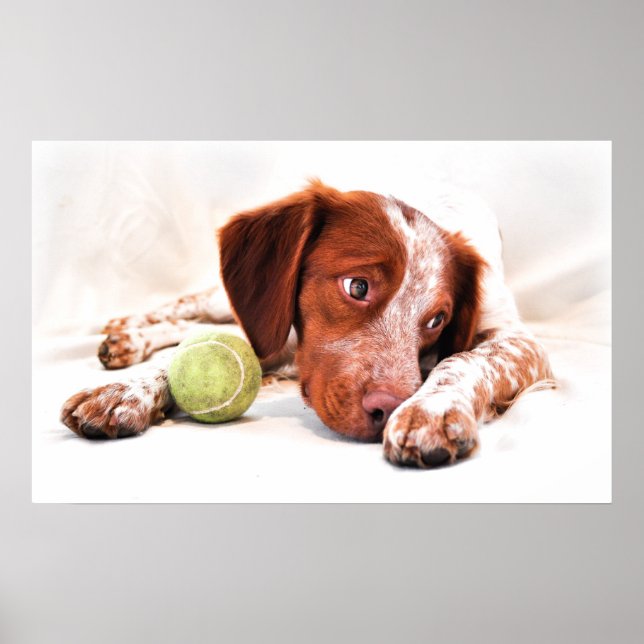Come play with me poster (Front)