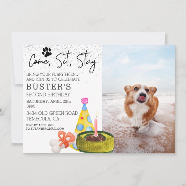 Come Sit Stay Dog Birthday Photo Party  Invitation (Front)