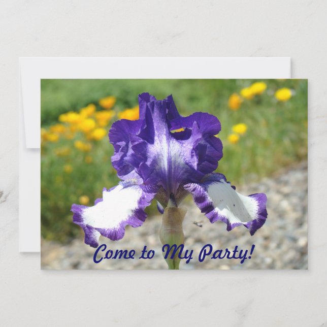 Come to My Party! Birthday Party Fun Invitations (Front)