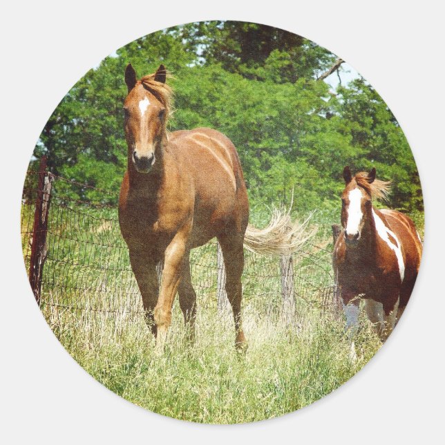 Come when Called, Two Horses Classic Round Sticker (Front)