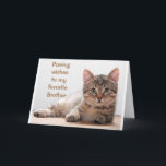 *COMEDIC CAT* FOR MY *BROTHER'S* BIRTHDAY CARD<br><div class="desc">THANKS FOR STOPPING BY ONE OF MY EIGHT STORES</div>