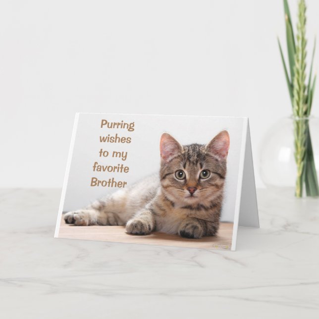 *COMEDIC CAT* FOR MY *BROTHER'S* BIRTHDAY CARD (Front)