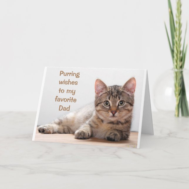 *COMEDIC CAT* FOR MY *DAD'S* BIRTHDAY CARD (Front)