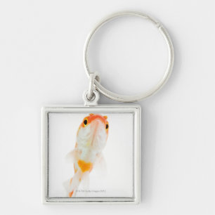 Comet / Comet-tailed goldfish Keychain