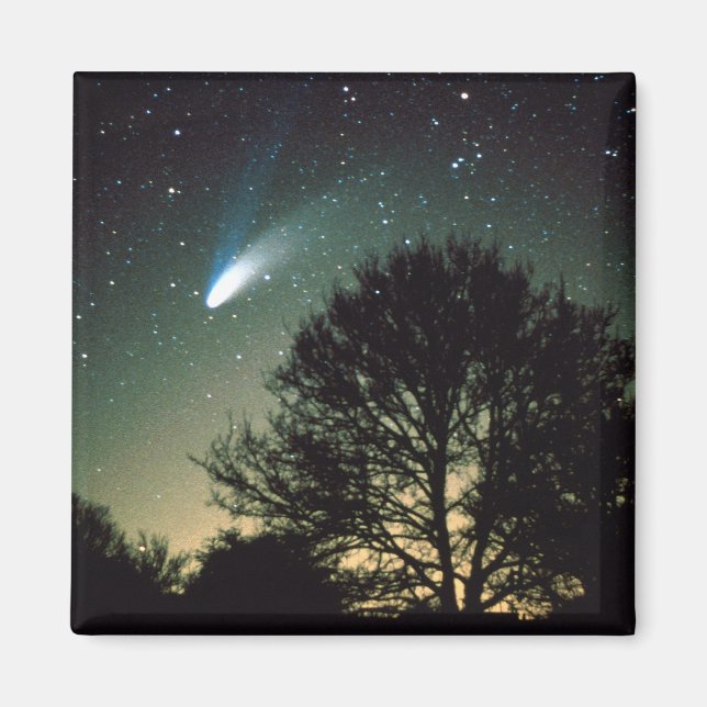 Comet Hale-Bopp and Tree Magnet (Front)