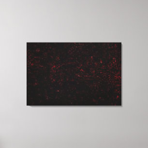 Comet P:Shoemaker-Levy 9 Canvas Print