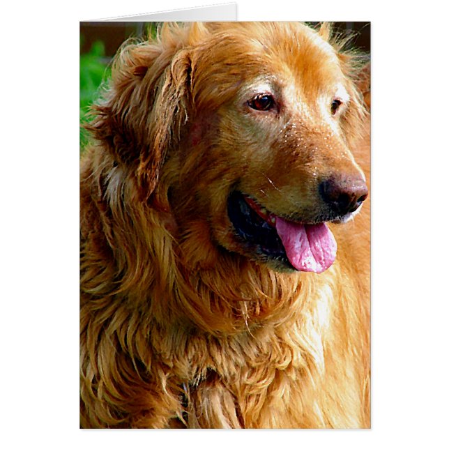 Comet with Oil Paint Effect (Front)