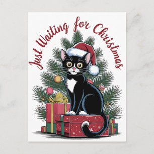 Comfort Colors® Christmas Tree And Cat 2025 Holiday Postcard