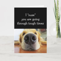 Comforting for Tough Times Cute Fun Dog