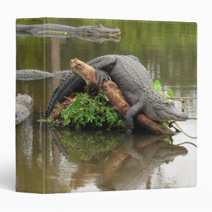 Comfy Alligator Binder