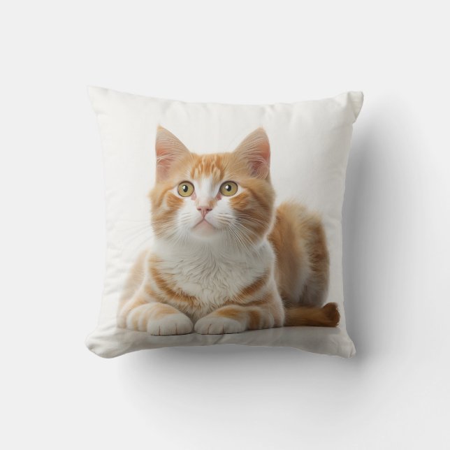 Comfy Coziness: The Lazy Ginger Cat Pillow (Front)