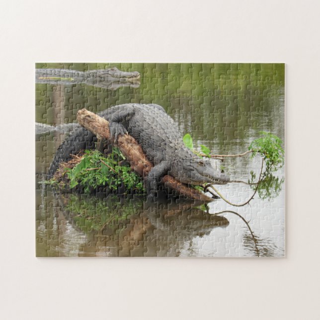 Comfy Cozy Gator Puzzle (Horizontal)