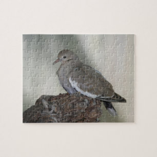 Comfy Dove Puzzle