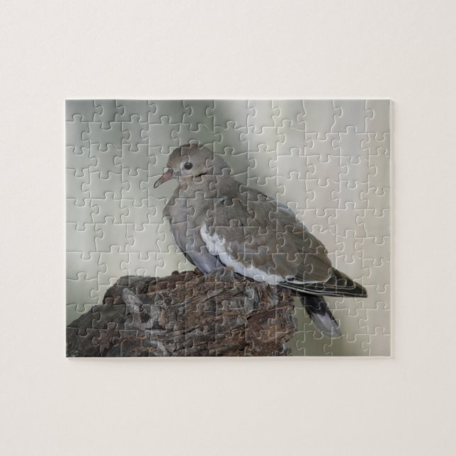 Comfy Dove Puzzle (Horizontal)