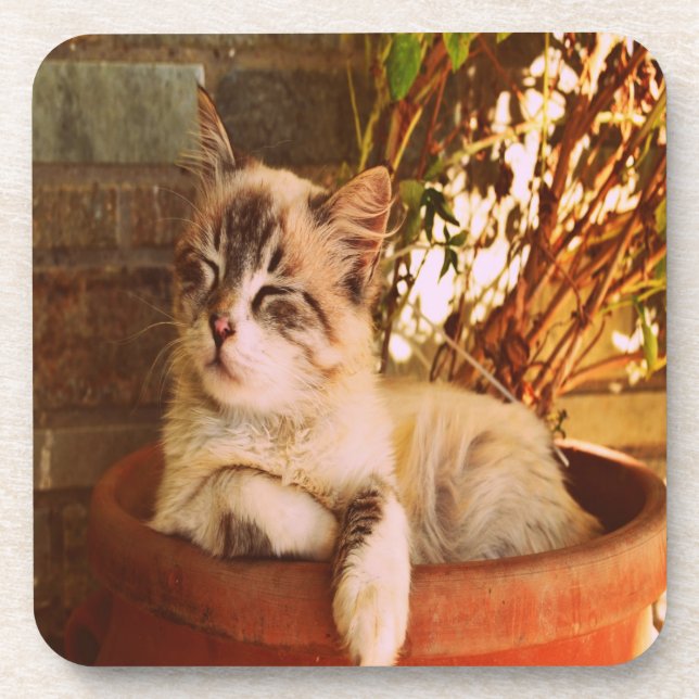 Comfy Sleepy Kitty Coaster (Front)