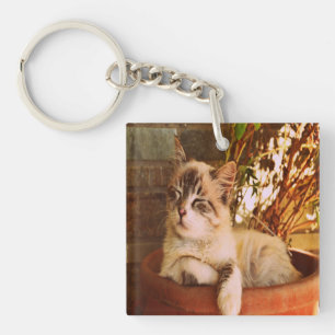 Comfy Sleepy Kitty Keychain