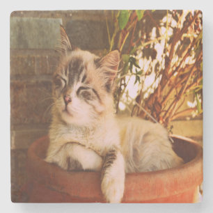 Comfy Sleepy Kitty Stone Coaster