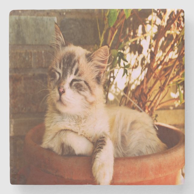 Comfy Sleepy Kitty Stone Coaster (Front)