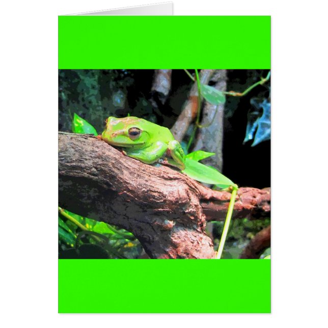 Comic Book Tree Frog (Front)