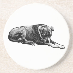 Comic-Dot Paws Coasters