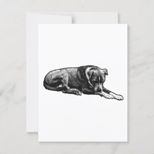 Comic-Grain Postcard