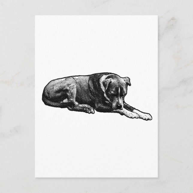 Comic-Grain Postcard (Front)