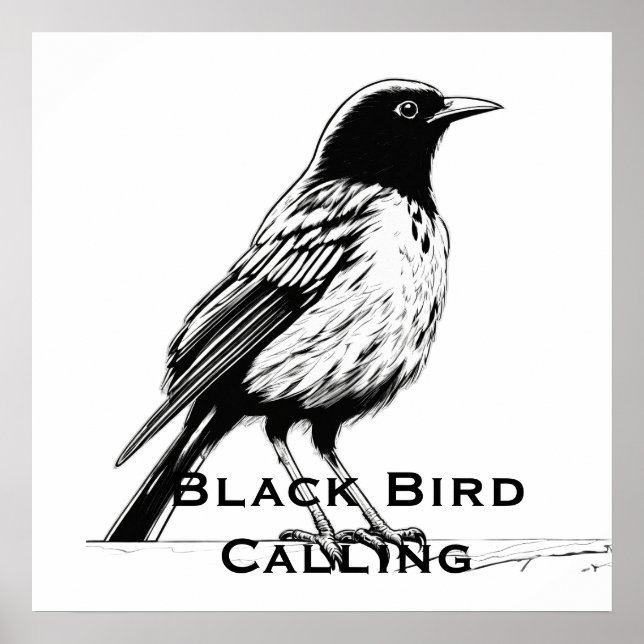 Comic-Style Black Bird Calling Poster (Front)