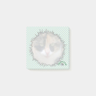 Comic Style Custom Photo notes