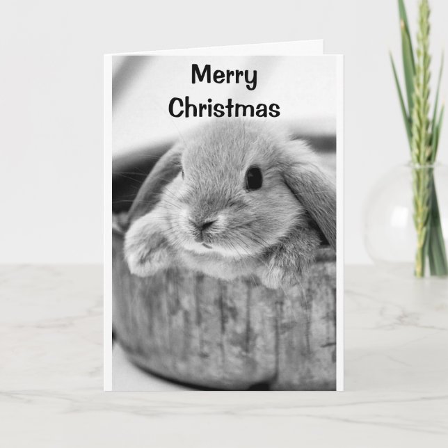 COMICAL BUNNY SAYS **MERRY CHRISTMAS** HOLIDAY CARD (Front)