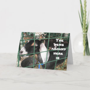 **COMICAL GOATS** say WHICH BIRTHDAY IS IT FOR YOU Card