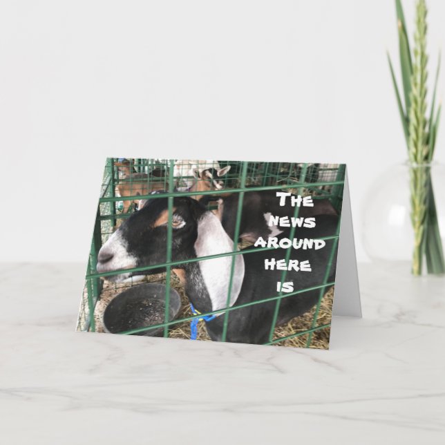 **COMICAL GOATS** say WHICH BIRTHDAY IS IT FOR YOU Card (Front)