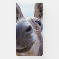 Comical Grey Smiling Donkey