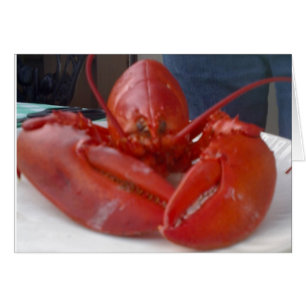 COMICAL LOBSTER JOKES BUT SAYS "HAPPY BIRTHDAY"