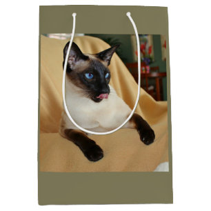 Comical Seal Point Siamese Cat Licking It's Nose Medium Gift Bag