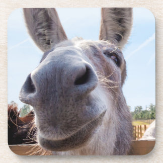 Comical Smiling Grey Donkey Coaster