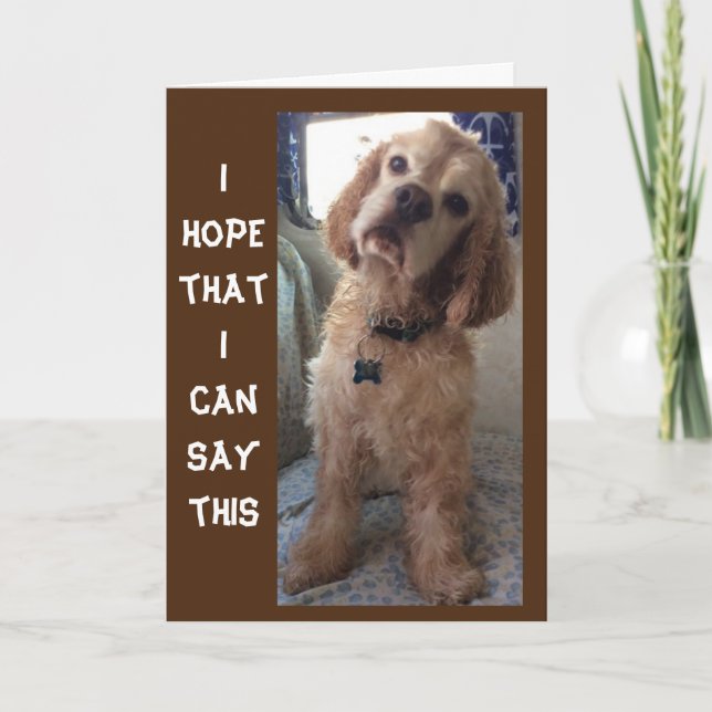 **COMIDIC SPANIEL" HAPPY "70th" BIRTHDAY Card (Front)