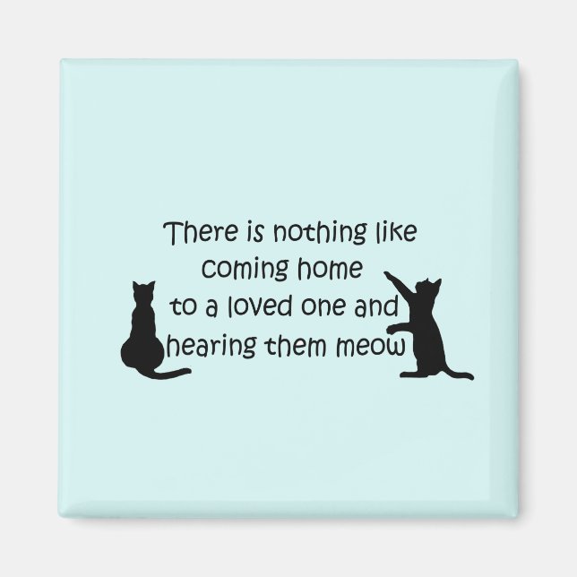 Coming Home to a Cat Magnet (Front)