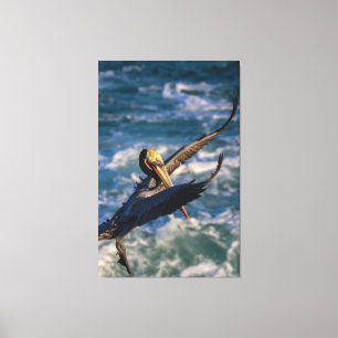 Coming in for a landing canvas print