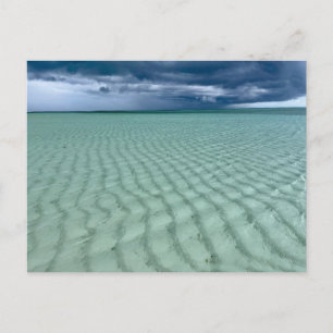 Coming Postcard